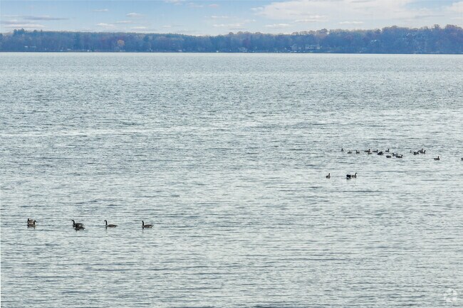 There is plenty of wildlife on Cedar Lake, located 10 minutes from Star Prairie.