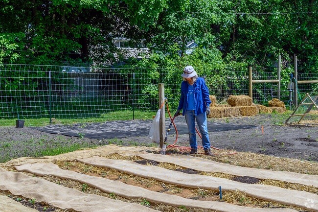 A gardener tends her garden plots in the Clifton Park Community Garden.