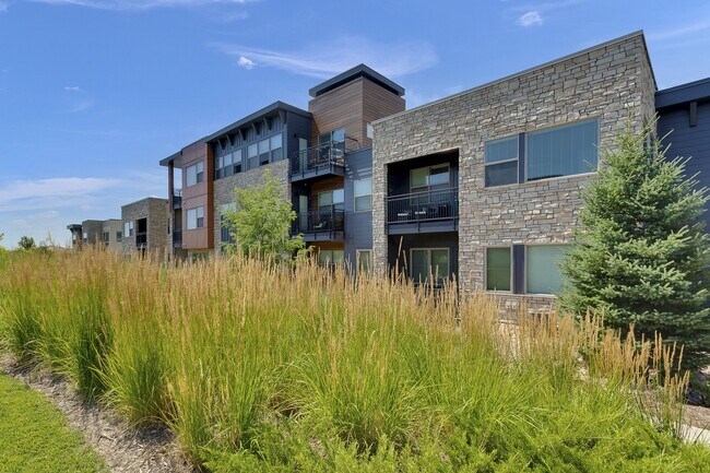 Vela Meridian, Parker, CO 80134 - photo 7