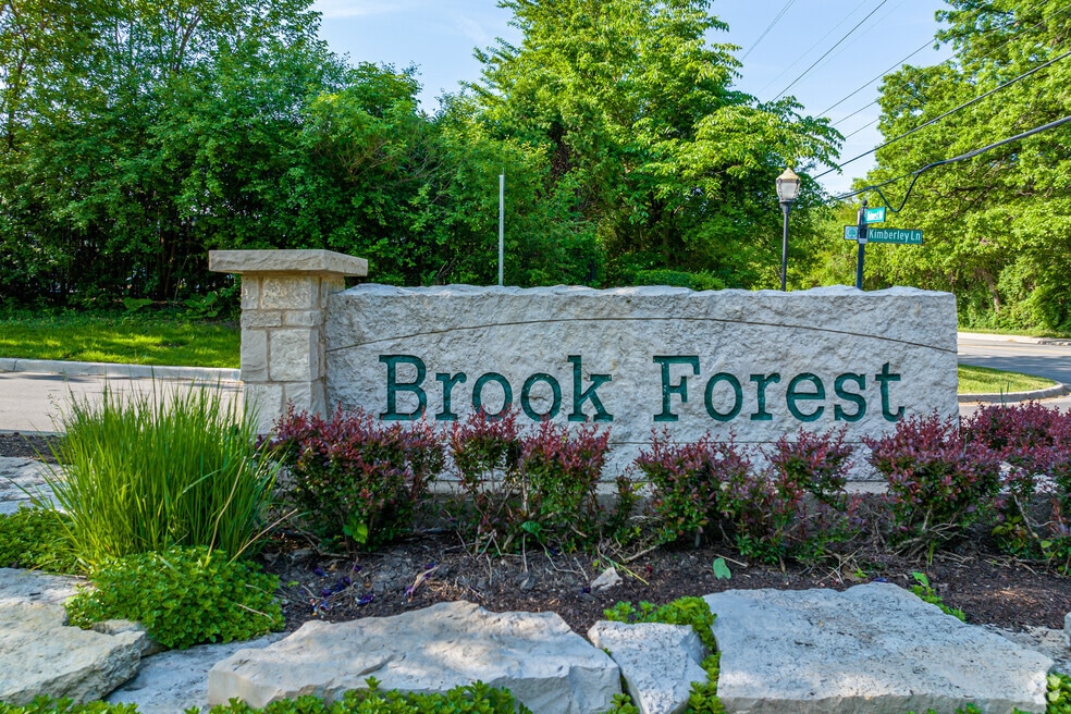 Brook Forest