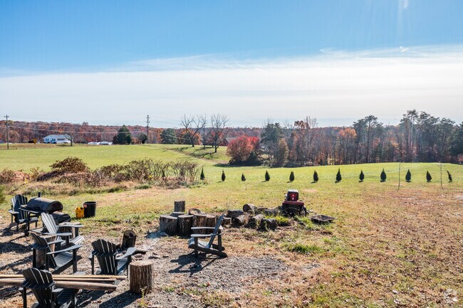 A serene picnic spot in Margo blends nature's beauty with relaxation.