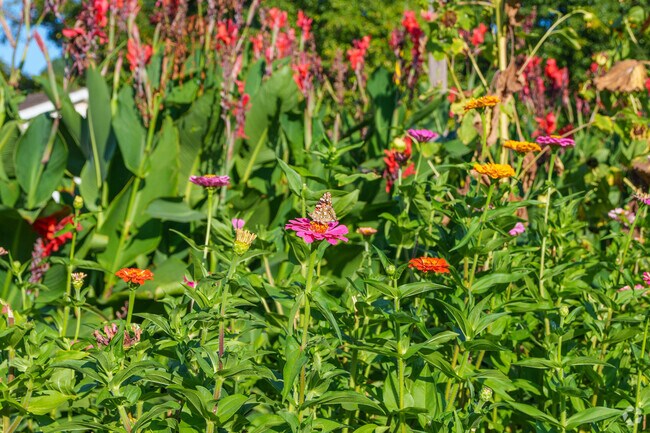 Make friends with new species at the Footbridge Sharing Garden next to Miller.