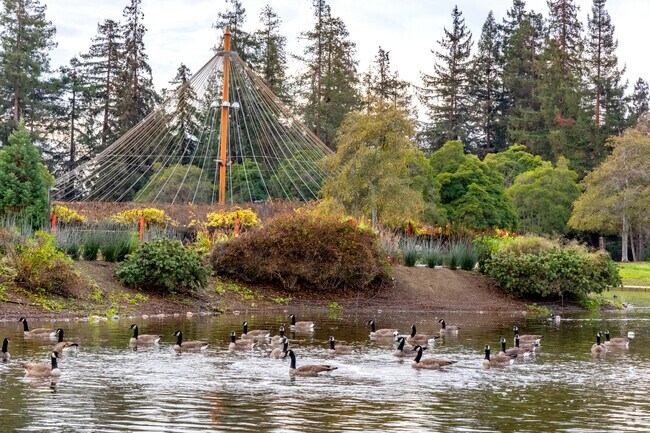 Bird watcher will love Central Park in Santa Clara.