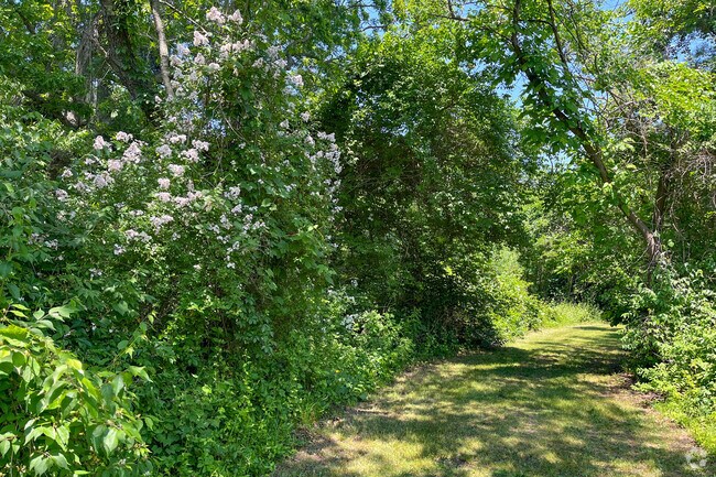 Residents of Brentwood often go for walk at the Nature Preserve at Suffolk Community College.