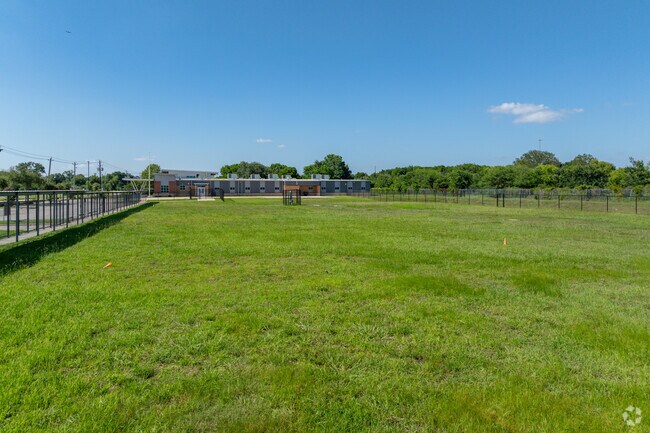 Accelerated Interdisciplinary Intermediate Academy is where curiosity is the compass.