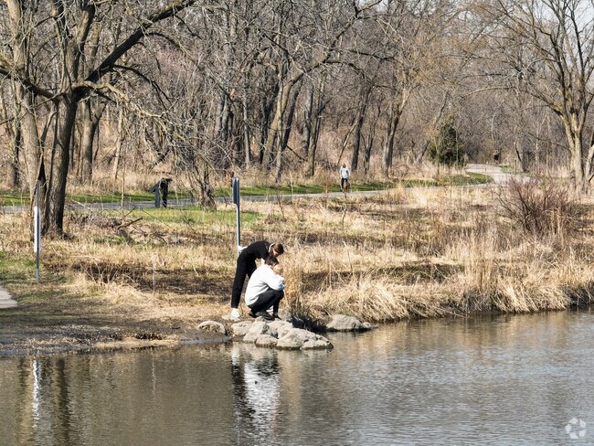Bring your family to Pioneer Park in Springhill to enjoy feeding ducks.
