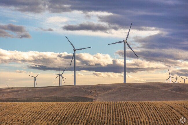 Wind turbines and oil wells can also be found in the area around Cut Bank.