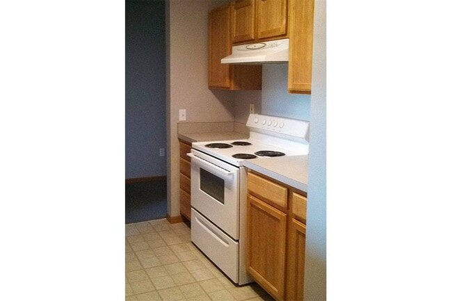 MEADOWS OF LUKE RIDGE, Rock Falls, IL 61071 - photo 4