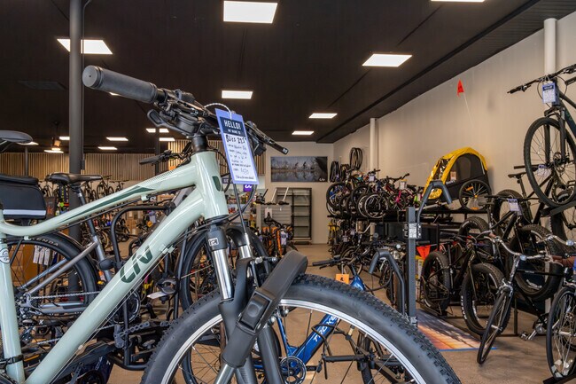 Rice Lake bike enthusiasts frequent Northwoods Cycle for gear and repairs.