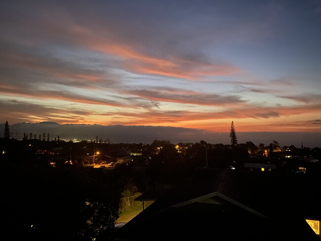 Evening view