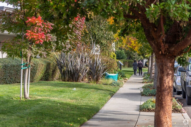 The local streets of Centerville are great for nature walking with your family.
