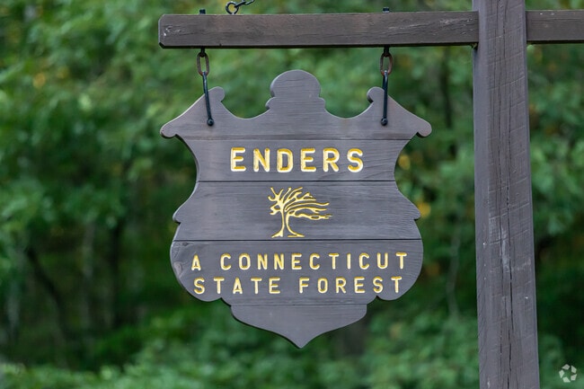 Enders State Forest spans 2,100 acres of trails, streams, and waterfalls in Granby.