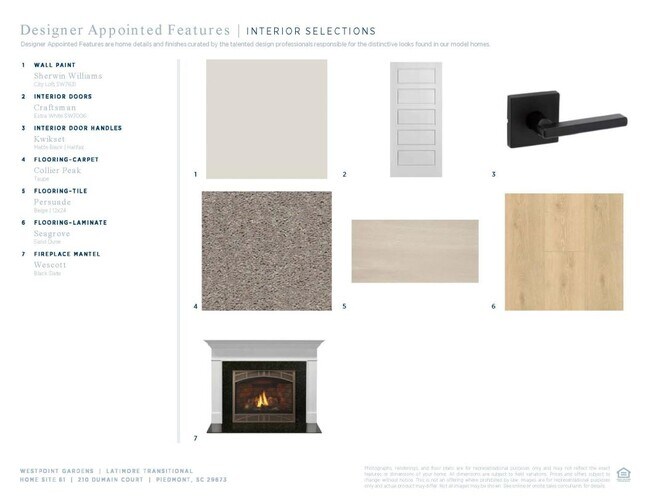 210 Dumain Ct, Piedmont, SC 29673 - photo 5