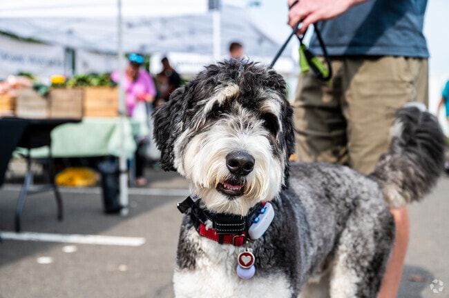 You run into many four-legged friends while walking around Upper Gwynedd Township.