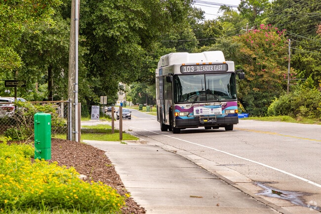 Eastwind-Piney Acres is linked to the surrounding area through Wilmington's Wave Transit system.