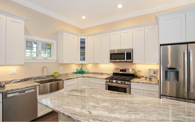 47 Alpine St unit 1, Roxbury, MA 02119 - photo 3