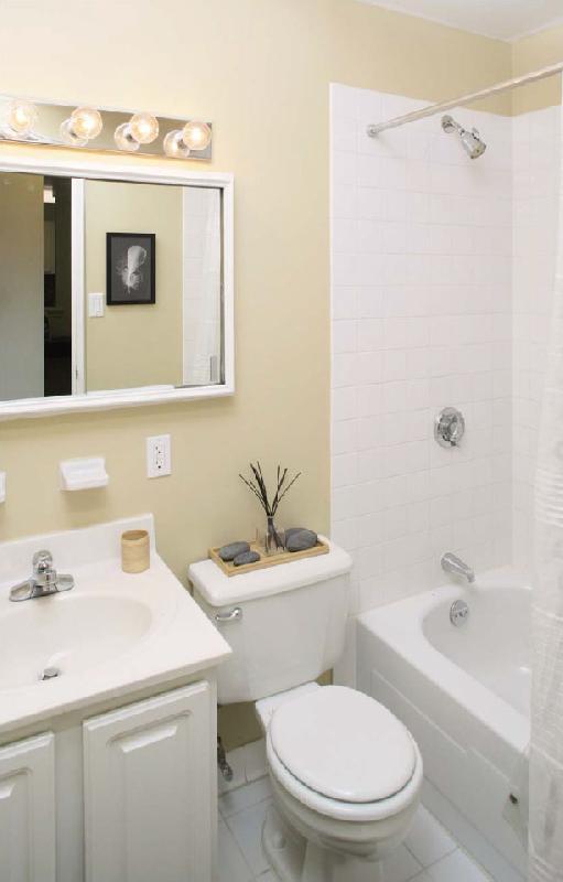 202 Freeman St unit 9, Brookline, MA 02446 - photo 5