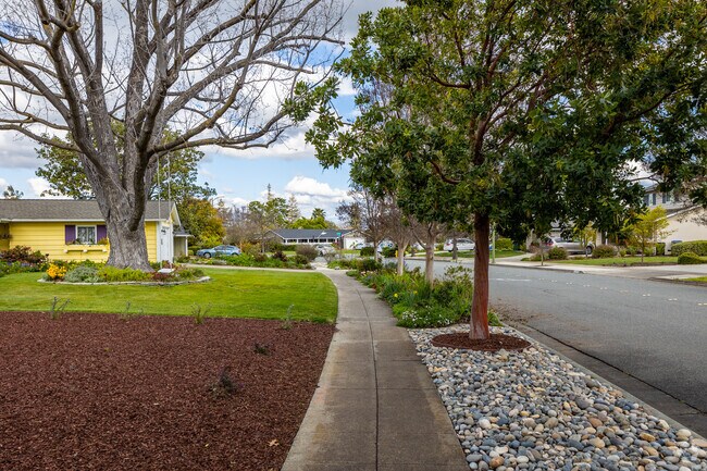Sidewalks Line the Neighborhood Streets in Bucknall.