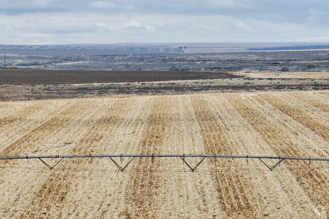 Most of the main employers in Warden are agricultural processing companies.