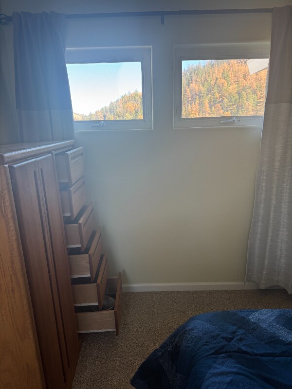 626 Pines Slope Rd, Idaho Springs, CO 80452 - photo 5