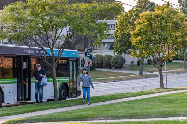 Residents of Valhalla use public transportation buses to get from place to place.