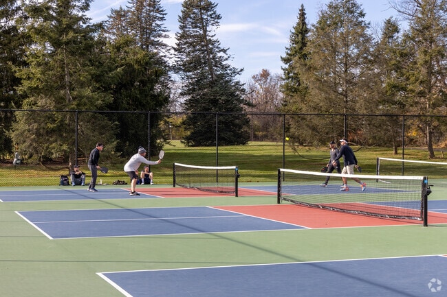 Louise Moore County Park features pickleball courts for outdoor recreation.