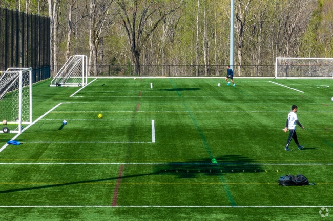 Field Day Park at Lake Wylie has many soccer fields open to the public.