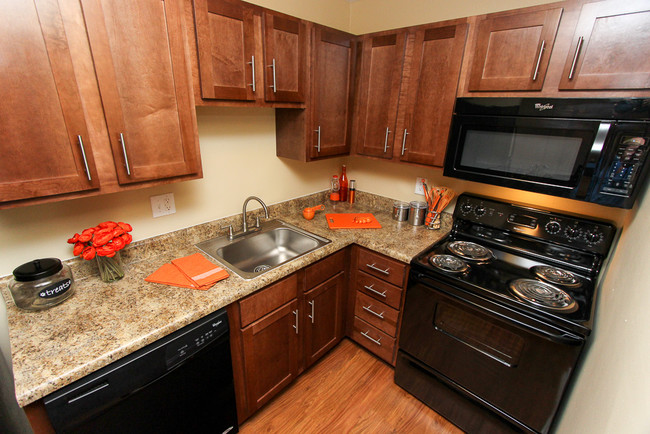 Newly Renovated Interiors