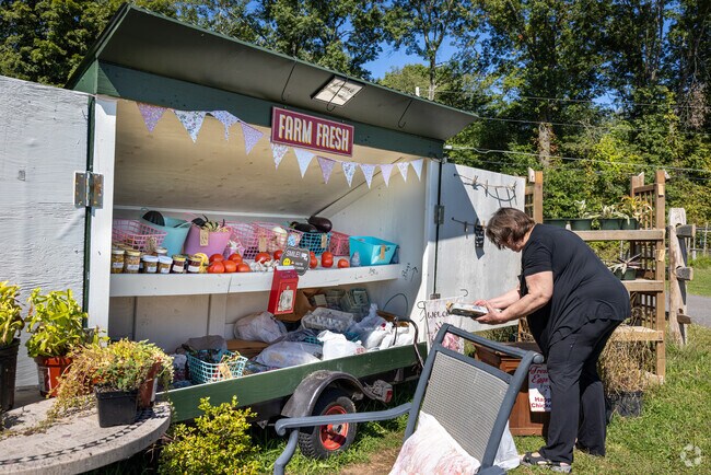 A local resident buys fresh eggs and produce from Happy Tales Farms in Lake Valhalla, PA.