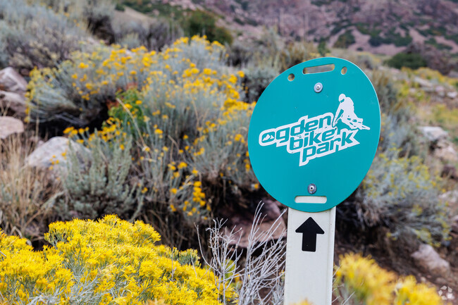 A teal sign marks a trail at Ogden Bike Park.