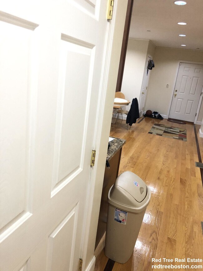 207 Hillside St unit 2, Roxbury Crossing, MA 02120 - photo 3