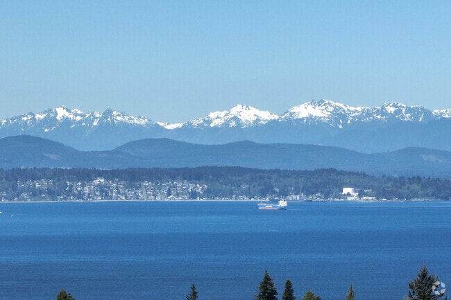 The Olympic mountains across Puget Sound.