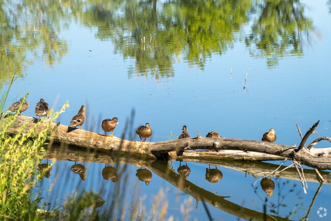 West Saint Vrain has plenty of wildlife areas to check out.