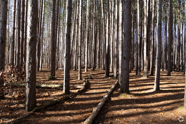What's known as "The Spot" in Oak Openings in Swanton is a popular photography spot.