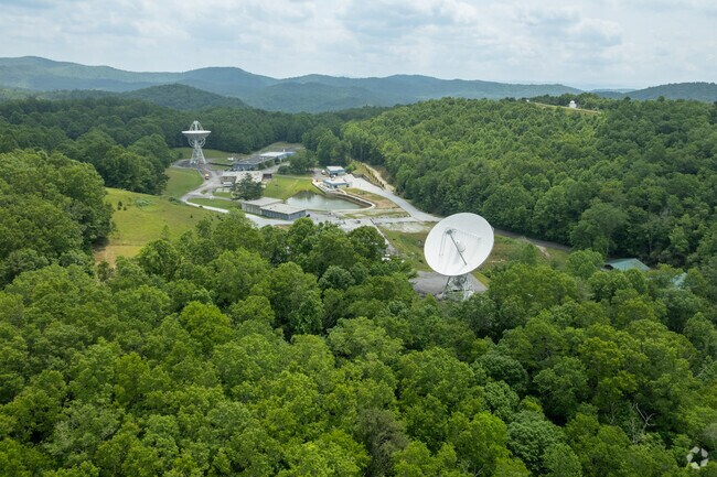 Research is conducted at the Pisgah National Forest near Avery Creek.