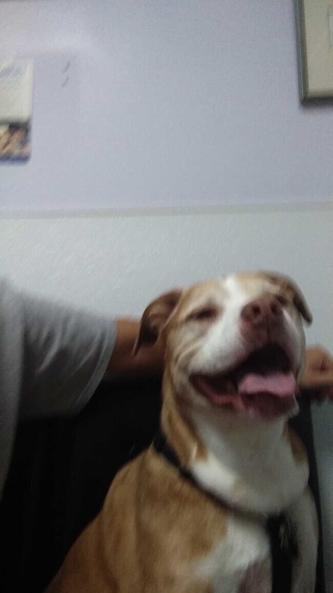 Gary DeLiberto