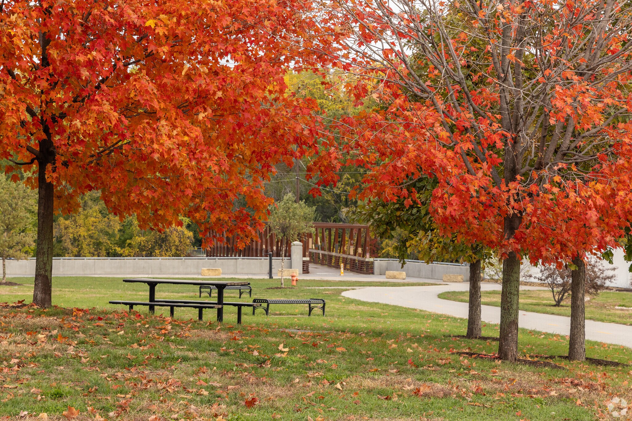 Enjoy the scenery and have a picnic at one of many parks adjacent to Stephens Park.