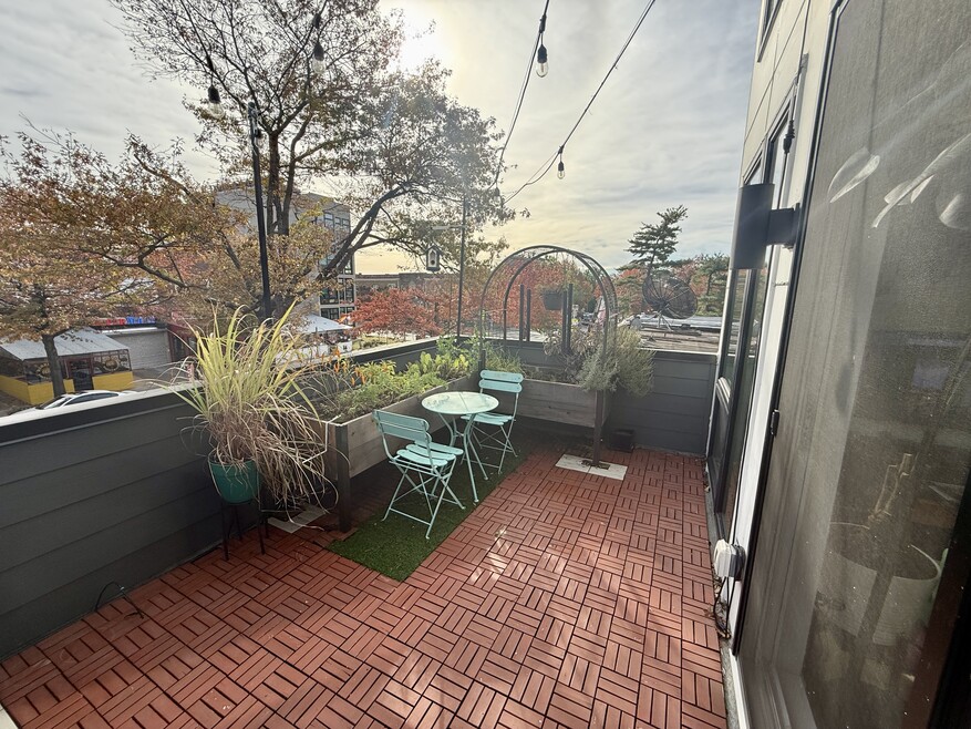 Front roof deck, perfect for plants and outdoor dining