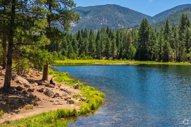 The Pine Valley Wilderness offers a relaxing environment to disconnect.
