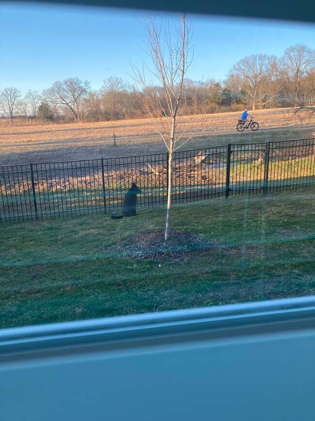 4973 Riverbank Dr, Hermitage, TN 37076 - photo 5