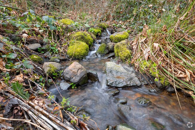 Soothing creeks run through Ibach Nature Park and Sahllie Illahee Park in Rosemont Summit.