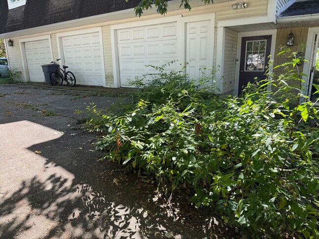 297 High St unit 301, Wadsworth, OH 44281 - photo 3