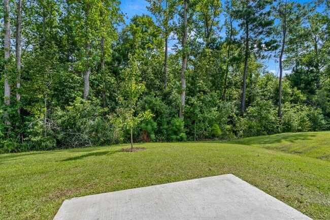 986 Cherrystone Loop, Conway, SC 29526 - photo 4