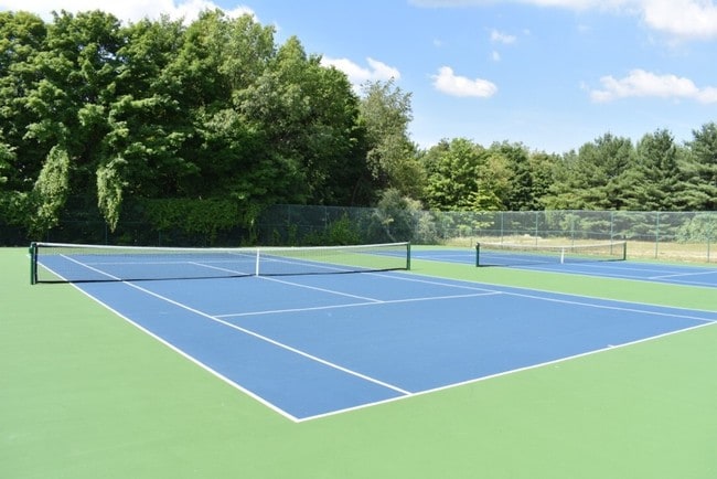 Tennis Anyone?
