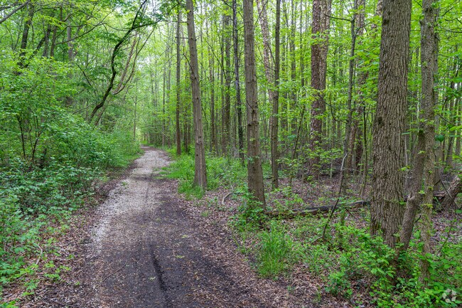 Immerse yourself in nature on one of the trails in Nehaunsey Park in Greenwich Township.