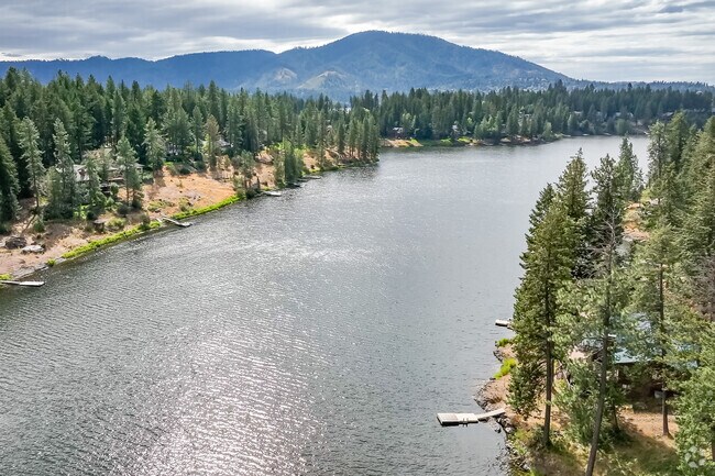 Avondale Lake encompasses miles of wooded forest and lake front properties.