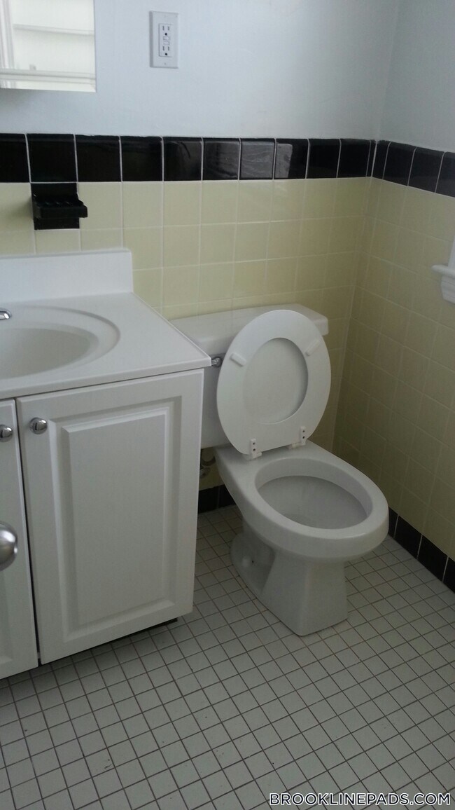 115 Gerry Rd, Chestnut Hill, MA 02467 - photo 4