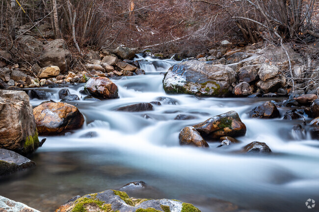 Water majestically runs down the mountain and through the forrest in Outlying Salt Lake County.