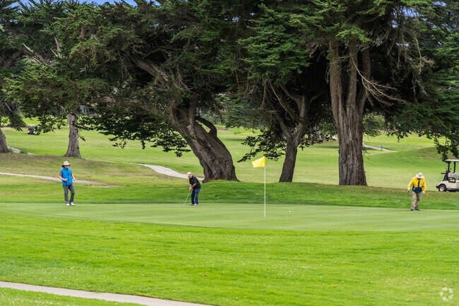Tee off amid scenic views at the Portola Highlands' local golf course, a golfer's hidden gem.