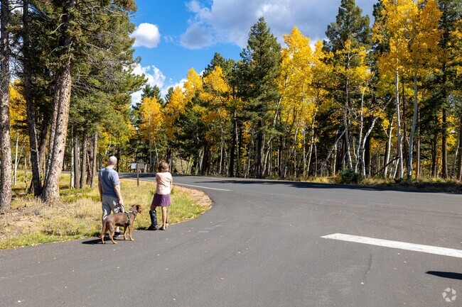Enjoy a hike at Mueller State Park.